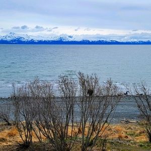 Meet your Posher, Tabatha